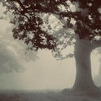 a_lonely_shadow (A Lonely Shadow) free OnlyFans Leaked Videos and Pictures 

 profile picture