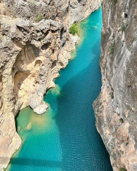 Header of about_marina