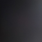 action_jackson24 (King Cobra) free OnlyFans Leaked Pictures & Videos 

 profile picture