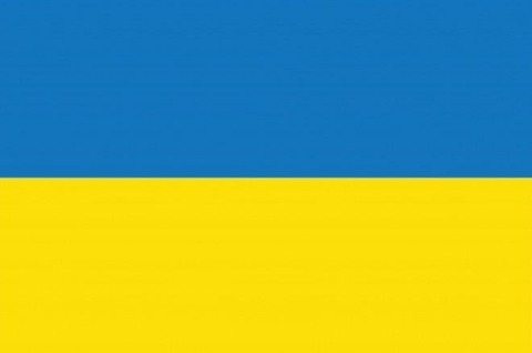 Header of adelineinfi