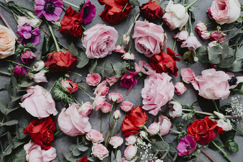 Header of adelinerae