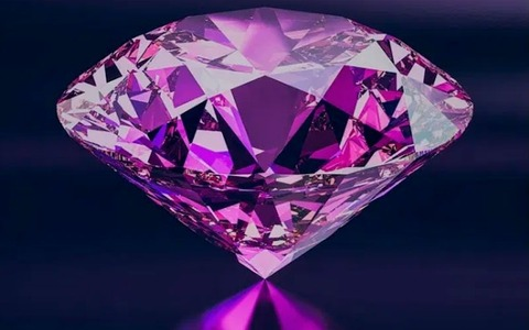 Header of aleevip