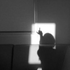 alien99 OnlyFans Leaked 

 profile picture