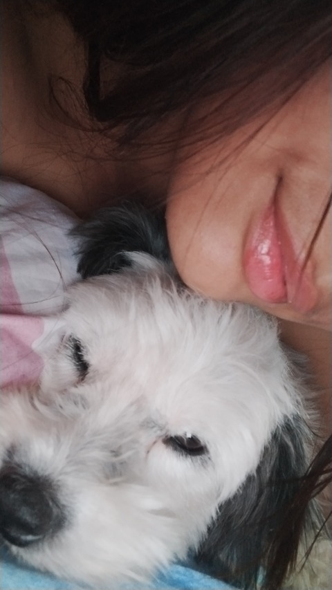 Header of amarumiller