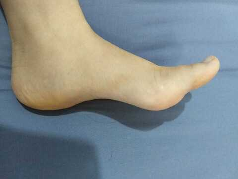 Header of ambarvioleta