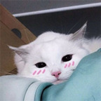 Ambien ambien Leak OnlyFans 

 profile picture