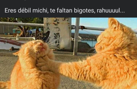 Header of analaura69