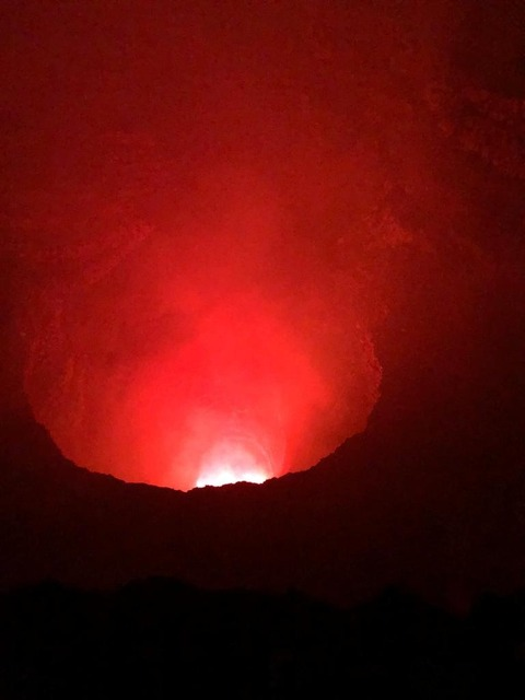 Header of andreakanzler