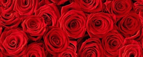 Header of angelgorgous