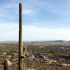 angelodelo (Michael Angelo DeLo ll) OnlyFans Leaked Pictures and Videos 

 profile picture