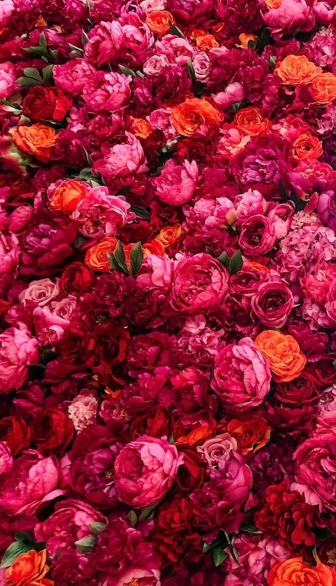 Header of angieplays