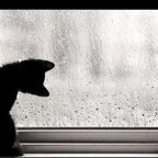 arbenita (arbenita andras) free OnlyFans Leaked Content 

 profile picture