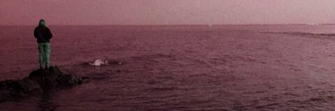 Header of aribabe