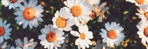 Header of asmrtickley