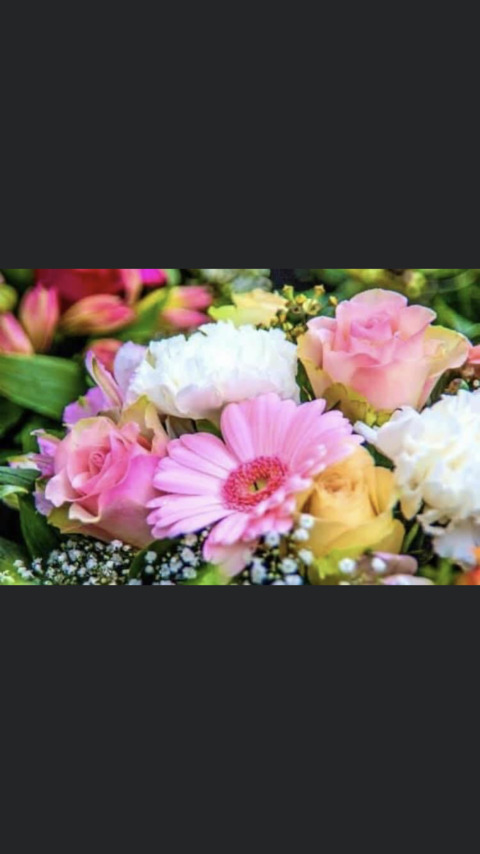 Header of aubreydiamond