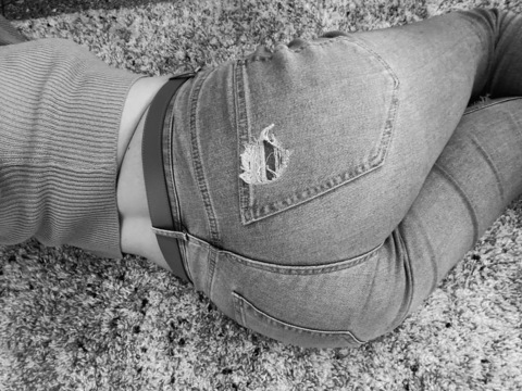 Header of auroraalily