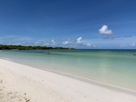 Header of austin_bangs