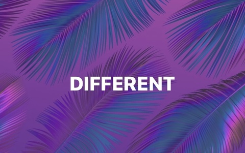 Header of b_d_willie