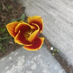 C3841 @babydoll360 Leaks OnlyFans 

 profile picture