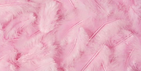 Header of babysarchh