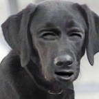 baddievirgo OnlyFans Leak 

 profile picture