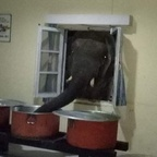 Free access to (badlicious) Leak OnlyFans 

 profile picture