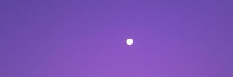 Header of barbiewishes