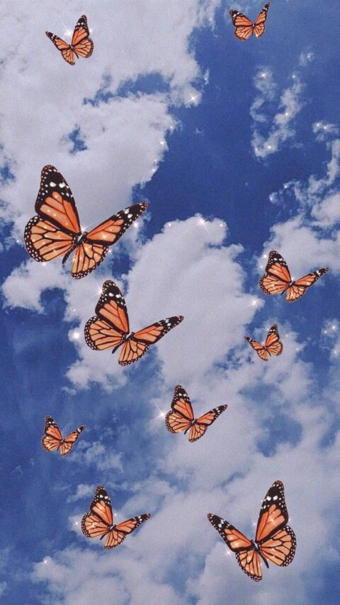 Header of bbarii