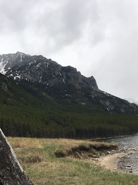 Header of beardedstud69