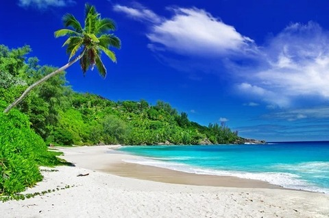 Header of bebared