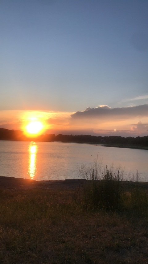 Header of bellaluna_xxx