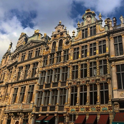 Header of bellawitch