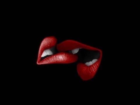 Header of berfecetalin