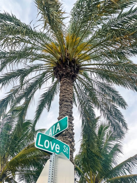 Header of bigbooty_mia