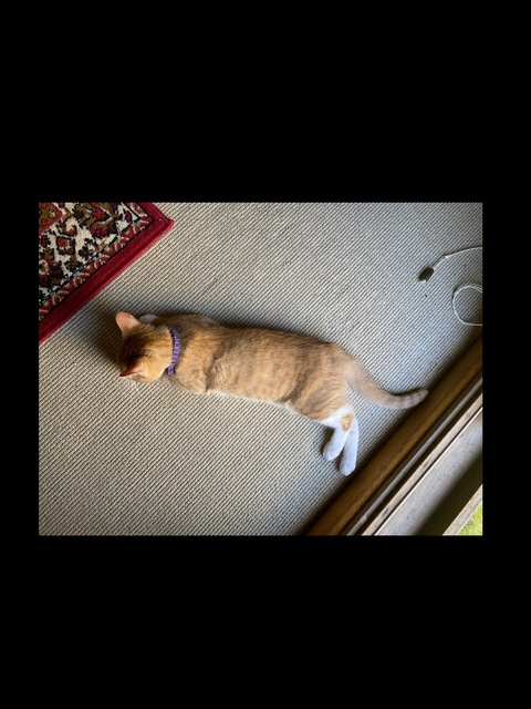 Header of bigtiddy_badbiddy