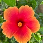 Free access to (billiondollabekz) Leak OnlyFans 

 profile picture