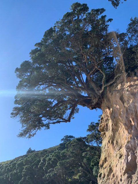 Header of billythebae