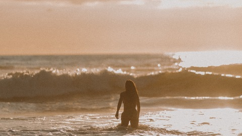 Header of bobby-dazzler