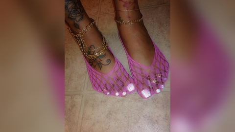 Header of bonitaplease