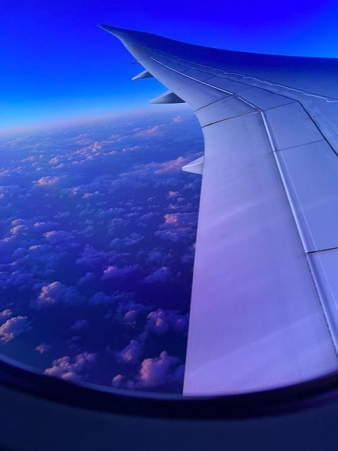 Header of bootylova1