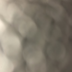 Onlyfans leaks bootyshaking 

 profile picture