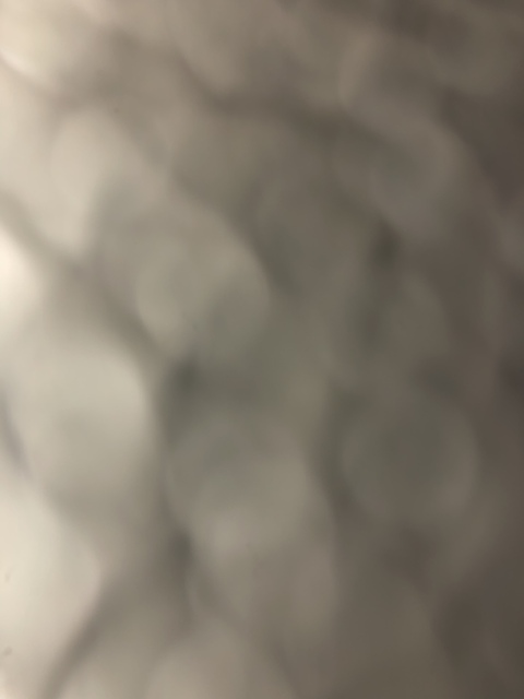 Header of bootyshaking