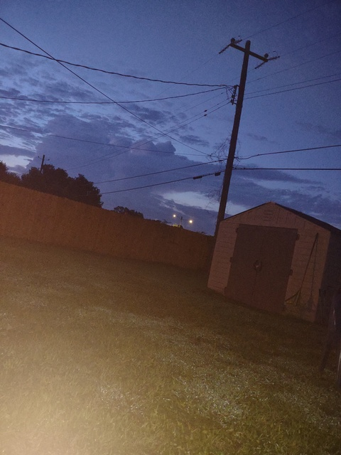 Header of brattiemaddie