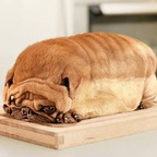 bread (Bread) OnlyFans Leaked Pictures and Videos 

 profile picture