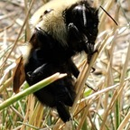 Onlyfans leaks breadley99 

 profile picture