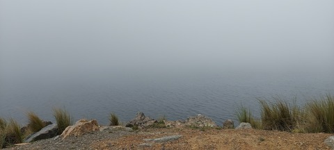 Header of brenda.ricaldez