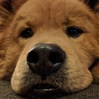 Onlyfans leak brianwrecks 

 profile picture