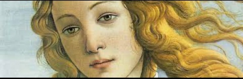 Header of brunoprettyx