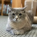 bubu91 (Bubu91) free OnlyFans Leaked Videos and Pictures 

 profile picture