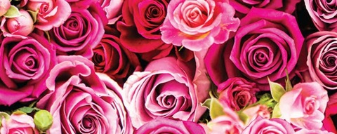 Header of caitclark1